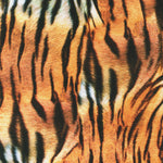 Wild Tiger Skin Digital Print Fabric, Robert Kaufman