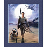 Star Wars Rey & BB8 Fabric Panel