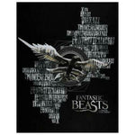 Harry Potter Fantastic Beasts Fabric Panel, Camelot